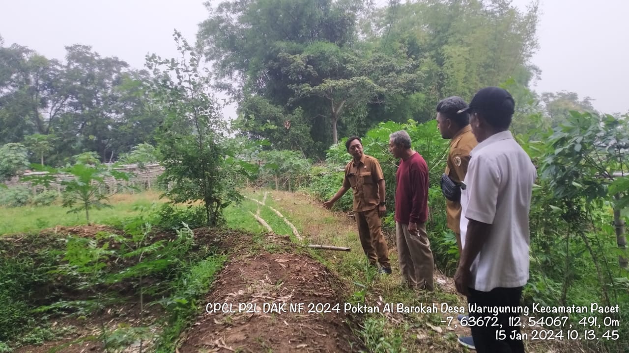 CPCL Kegiatan P2L DAK Non Fisik 2024