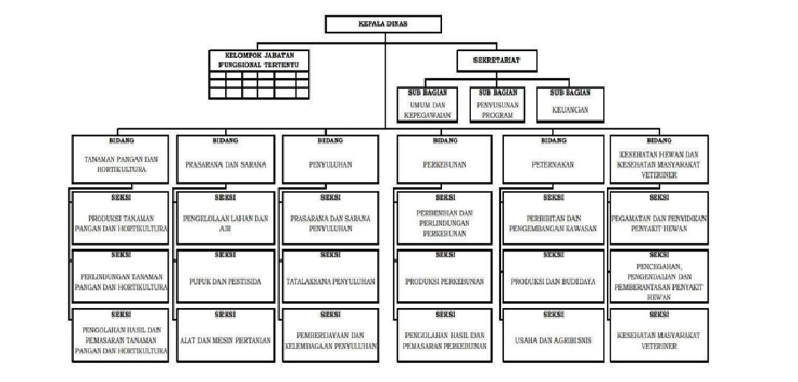 Struktur Organisasi